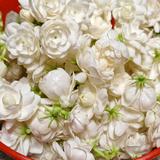 认真的饼干Hw0头像