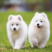 告诉老默_我想吃鱼了的个人资料头像