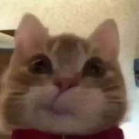 用户534367329371头像