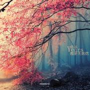 HeisenbergWhite的个人资料头像