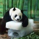 阳光小伙君的个人资料头像