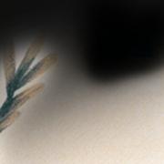 lampkid的个人资料头像