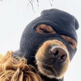 光头强很忙yy头像