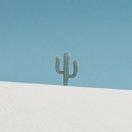 阿庆酱的个人资料头像