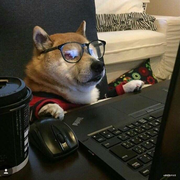 Dawnljy的个人资料头像