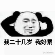 不秃头的个人资料头像