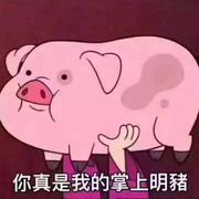 Trsor的个人资料头像