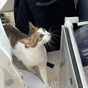 定西qwe的个人资料头像