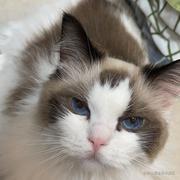 bshy的个人资料头像