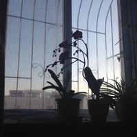 用户9284975372797头像