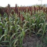 用户2030760370889头像