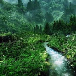 守得云开见大涨头像