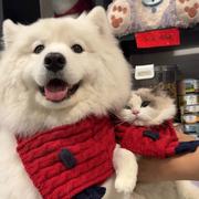 LefthandyouthRightha的个人资料头像