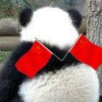 天才小熊猫喲头像