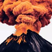 印度洋罕见的鱼的个人资料头像