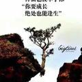 有点讲究头像