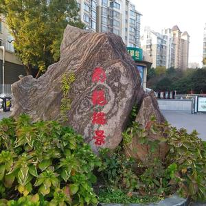 只做自己的人头像