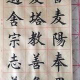 智者西柚ch头像