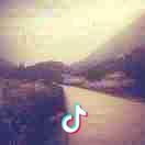 吹风的枫叶头像