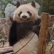 2021的个人资料头像