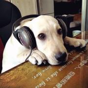 小黑屋02前不再登录Telegram联系的个人资料头像