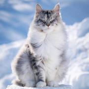 用户6723061594390的个人资料头像