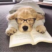 用户4888224063333的个人资料头像