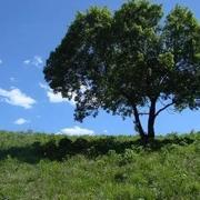 我相信光的个人资料头像