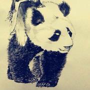 胖灬虎的个人资料头像