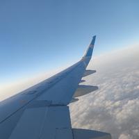 瑞安林宥嘉头像