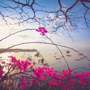 霍海棋的个人资料头像