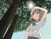 幻羽梦溪的个人资料头像