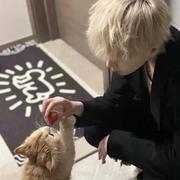 gynswe的个人资料头像