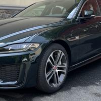 喜欢蛇豹小动物头像