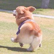 finyou的个人资料头像