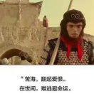 用户8564682413569头像