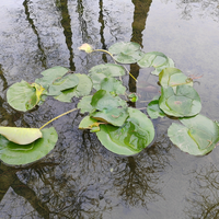 永全加油站头像