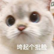 April213的个人资料头像