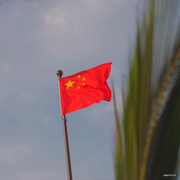 西部码仔的个人资料头像