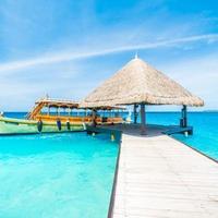 一丝不苟海燕GtHZkN头像