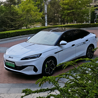 魔法小迪的海豹06头像