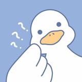 qingqing哈哈头像