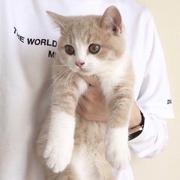 Gxscuy的个人资料头像