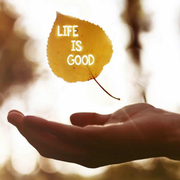 未知是我们前进的方向的个人资料头像