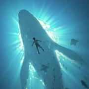 Eric886的个人资料头像