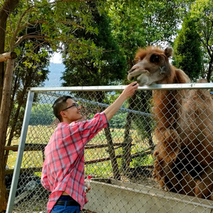 尼采在世纪的转折点上头像