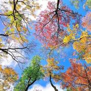 王菁的个人资料头像