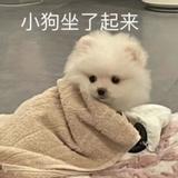 用户6603116096739头像