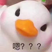 新的一天新的生活的个人资料头像