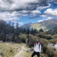 峰之风驰电掣681头像